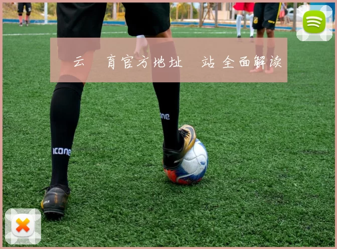 開云體育官方地址網站 全面解读