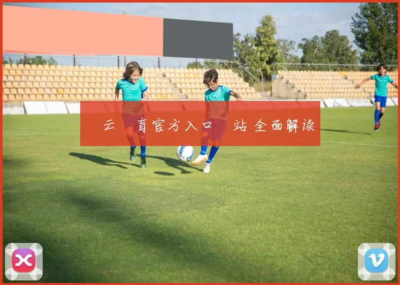 開云體育官方入口網站 全面解读