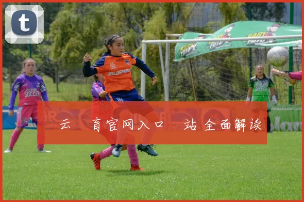 開云體育官网入口網站 全面解读