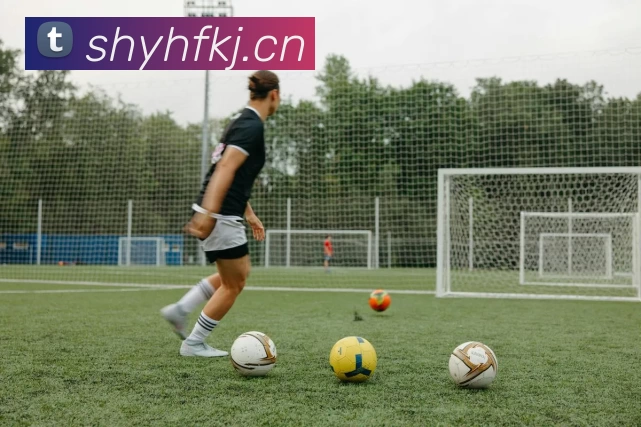 開雲體育官網正规网页访问入口地址地址 深度解析